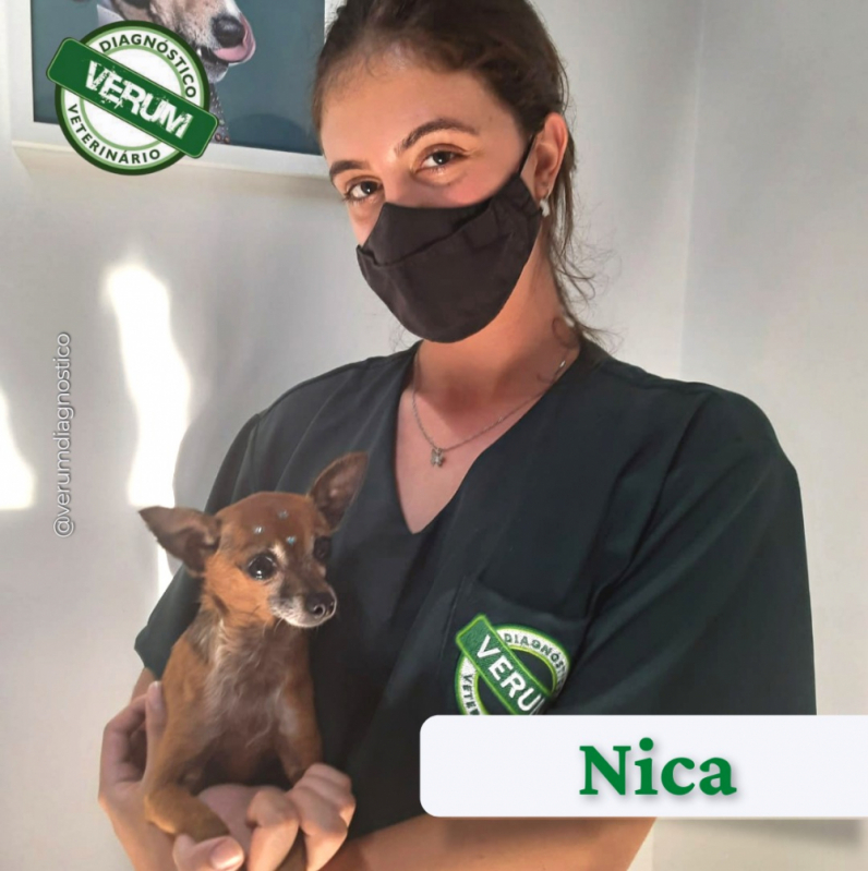 Clínica Especializada em Fisioterapia Veterinária Contato Jardim Araguaia - Fisioterapia e Reabilitação Animal