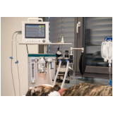 eletrocardiograma cachorro Feital