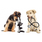 laboratório de análises clínicas veterinário Roncon