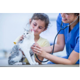 onde fazer eletrocardiograma em animais domésticos Feital