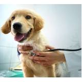 onde fazer eletrocardiograma para cachorro Vila Mercedes