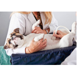 preço de ultrassonografia para cachorro Vila Urupês